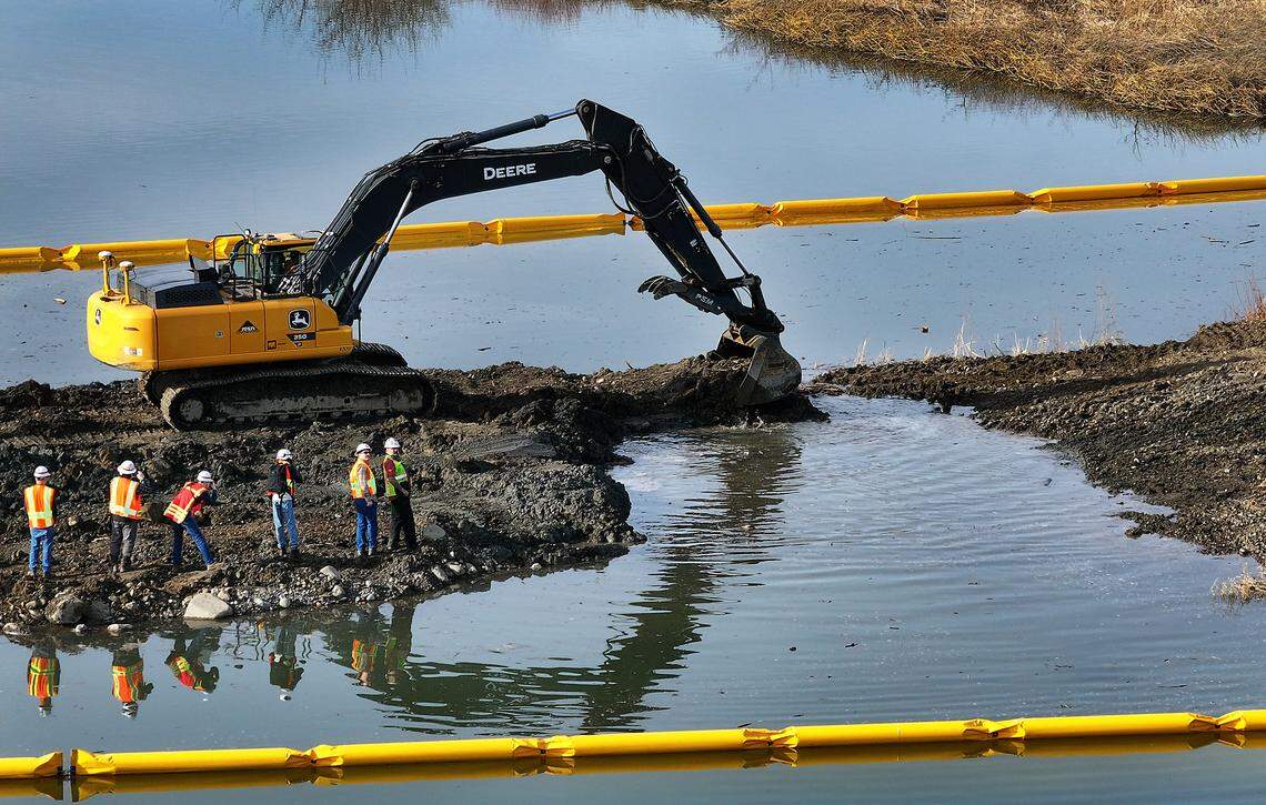Officials from various agencies watch as an excavator removes a scoop of dirt Tuesday to allow Yakima River water to begin flowing from behind the causeway to Bateman Island in Richland. 