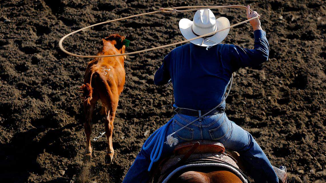 Must see August sports: From Tri-Cities area rodeos to BMX and Seahawks