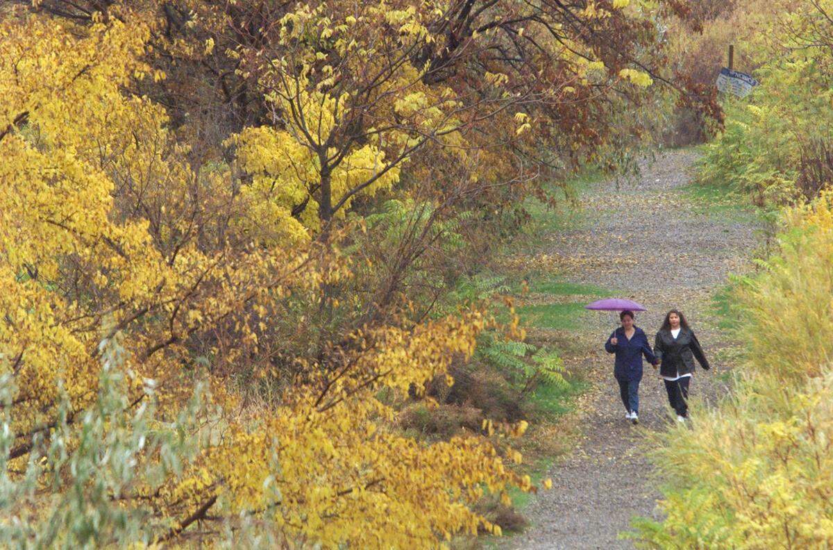 The peak of the color change in Eastern Washington starts in the middle of October and goes through the middle of November.