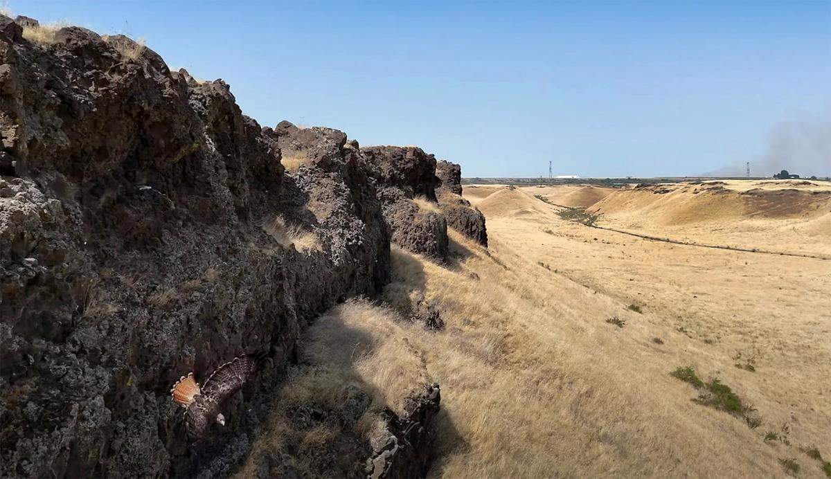In one of the larger property sales in Franklin County history, a Connell-area ranch sold for $18 million.