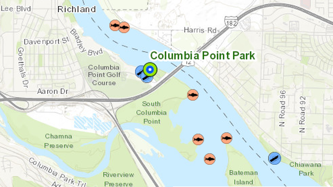 The fish in orange circles on this map show areas that have historically been good for catching northern pikeminnow near Columbia Point Park and Bateman Island in Richland.