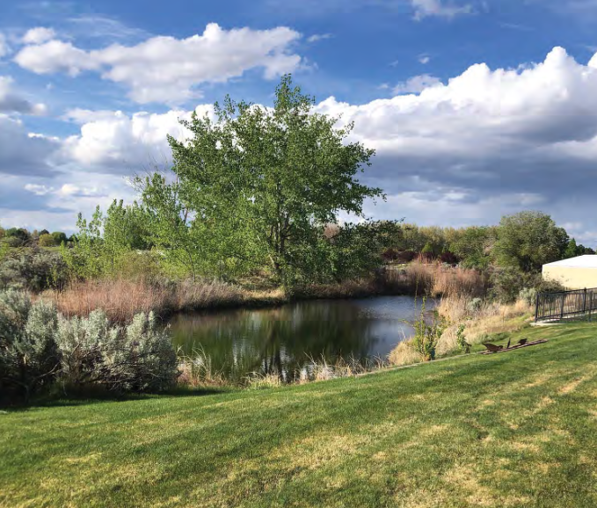 The pond behind homes on Crosswater Loop in Horn Rapids.