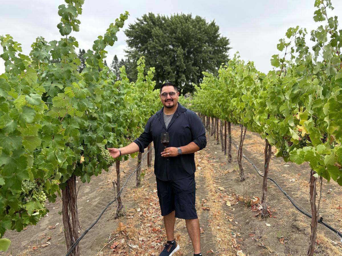 Winemaker Victor Palencia examines grapes in the vineyards at the Palencia Estate location in Benton City.