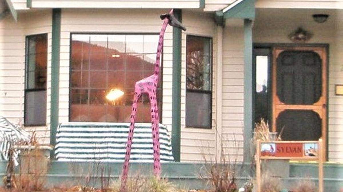 This is a picture of Fred the giraffe.