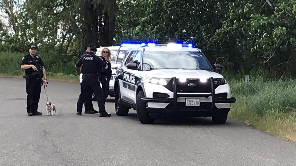 A woman was accused of point a gun at two children and three adults near the Van Giesen Street bridge in West Richland Friday.
