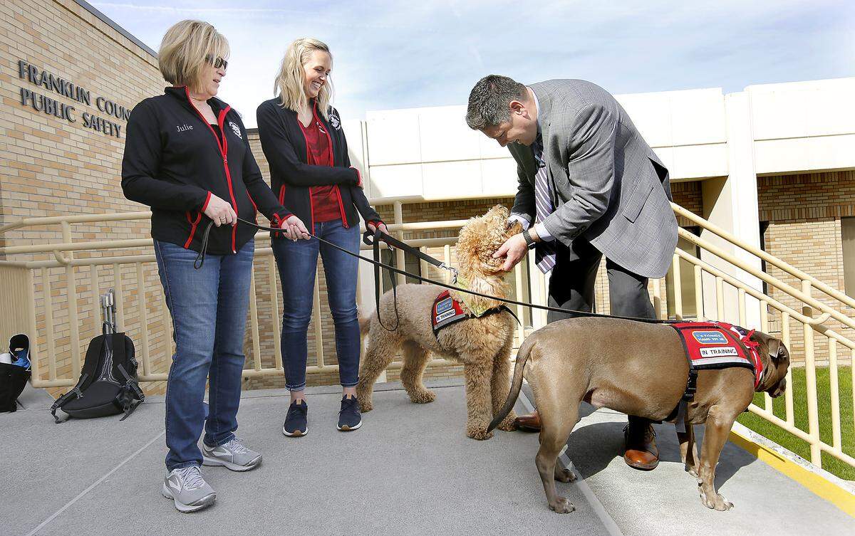 Franklin Prosecutor Shawn Sant petted a Goldendoodle named Chewie at the Franklin County Courthouse in Pasco on Thursday. Aubrey Eppich of Basin City held onto Chewie while Julie Bafus of Kennewick watched over her pit bull mix named Ally.