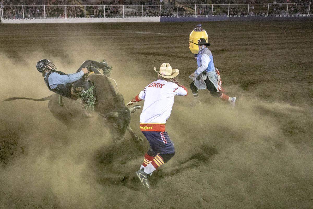 Bullfighters Rowdy Barry, center, and Dan Newman try to keep the bull under control during a rodeo.