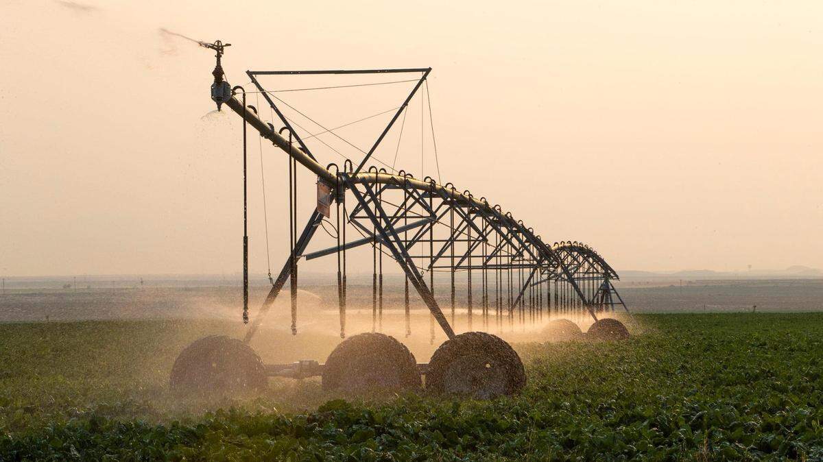 An irrigation pivot waters a crop.