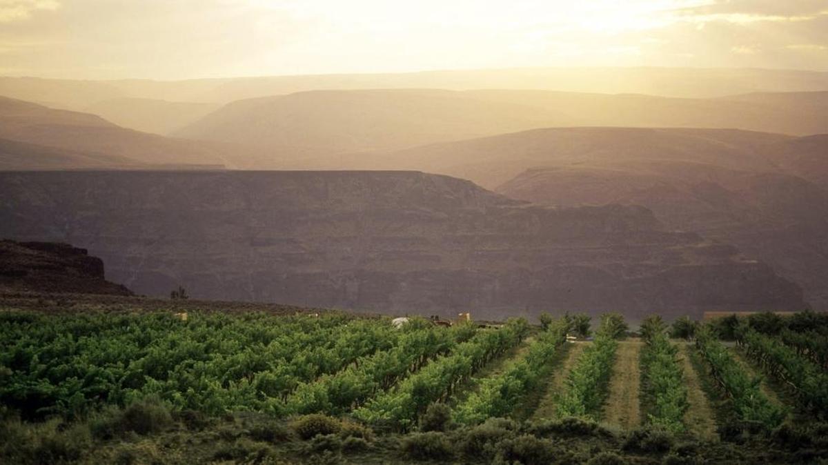 A sunset overlooks Cave B Estate’s vineyards in Quincy.