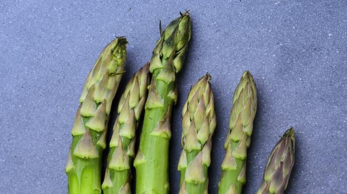 An Asparagus Festival is planned May 7 at Middleton Six Sons Farms at 1050 Pasco-Kahlotus Road. It’s only for those ages 21 and older, thought.