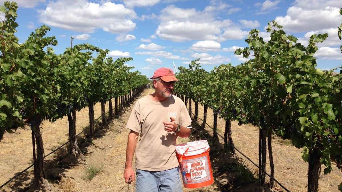 Brian Carter is the owner and winemaker for Brian Carter Cellars in Woodinville. His Abracadabra red wine is a blend of nearly a dozen grape varieties.