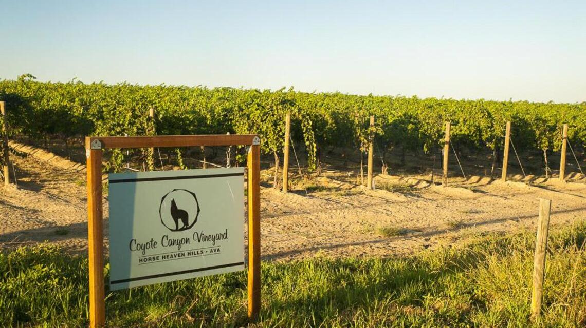 Northwest Wine: Spanish white Albariño thrives in Pacific Northwest