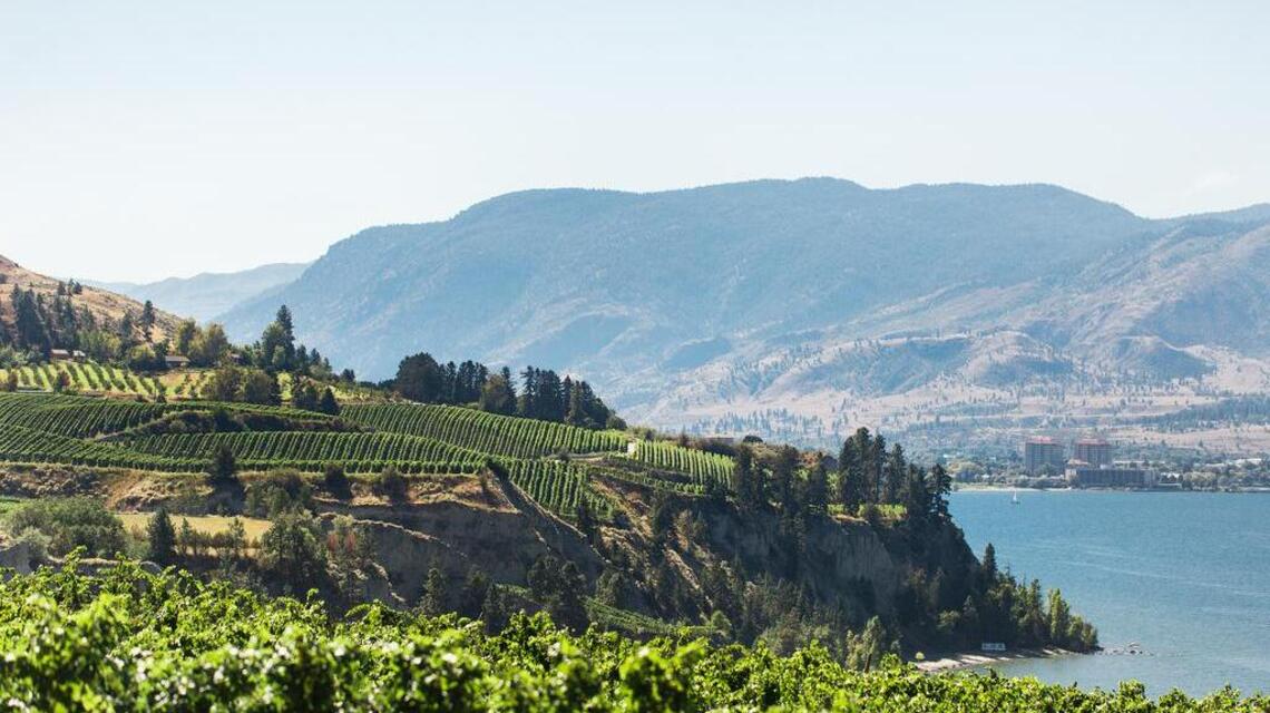 Northwest Wine: A wine wonderland awaits north of the border