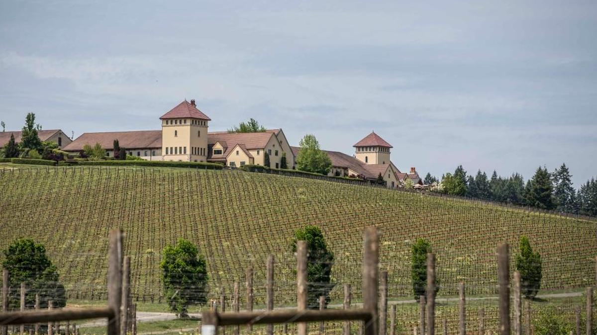 King Estate in the Willamette Valley near Eugene, Ore., is the largest Demeter-certified biodynamic vineyard in the U.S. at 1,033 acres.