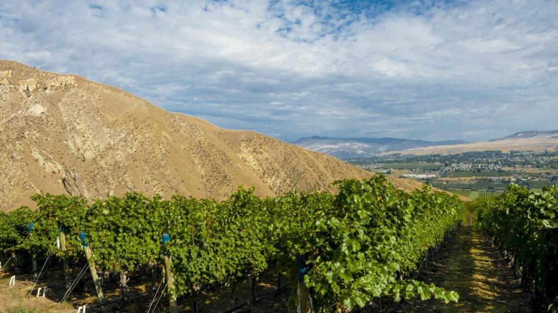 Wenatchee has rich history in Washington wine