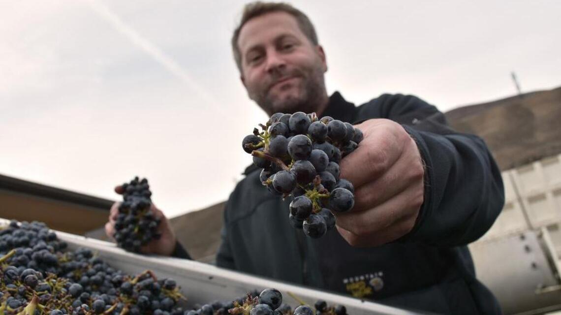 Northwest Wine: Maryhill Winery expands production, tasting rooms – and gold medals