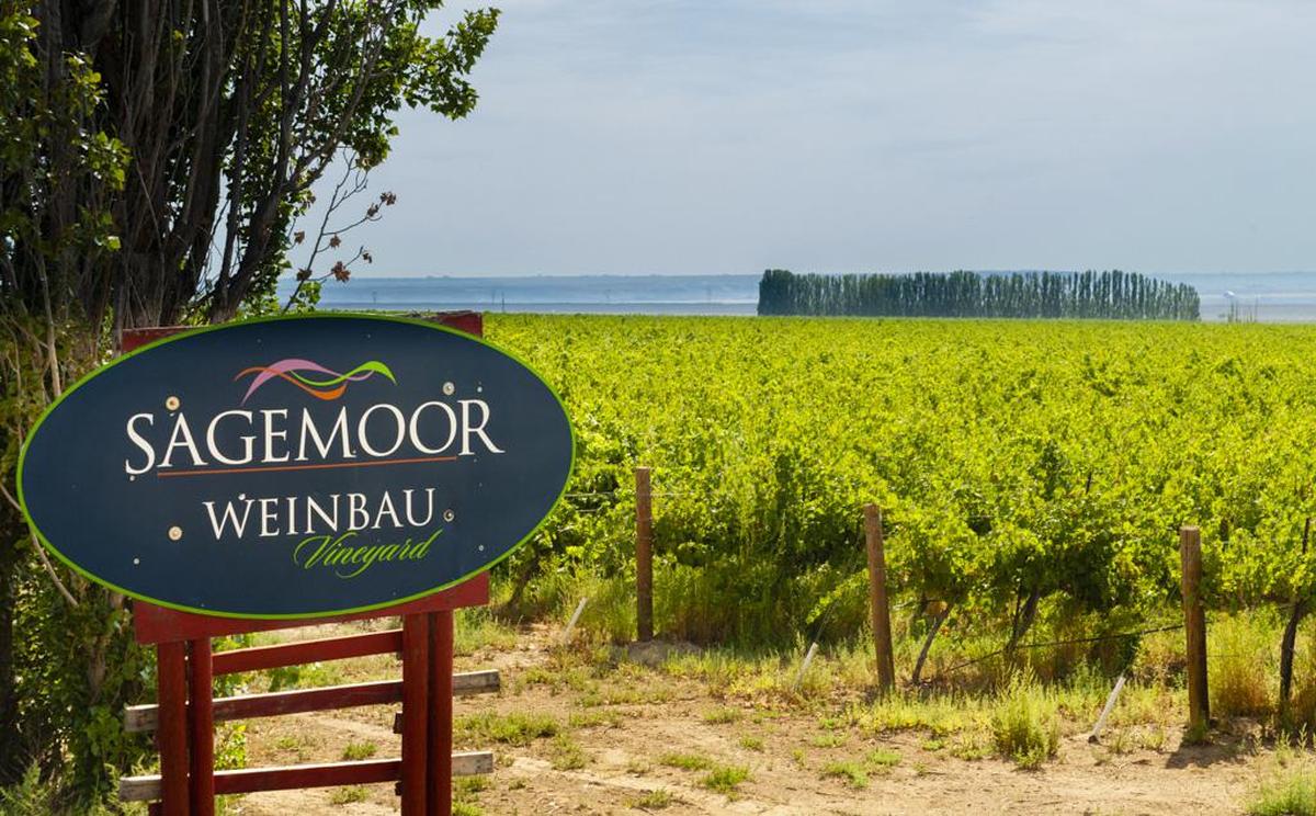 Weinbau Vineyard is a historic Wahluke Slope planting near Mattawa, Wash., that is managed by Sagemoor Farms and owned by Allan Brothers in Naches. Its fruit played a major role in the Bayernmoor Cellars 2017 Chardonnay, which won a double gold medal at the 2019 Cascadia International Wine Competition.