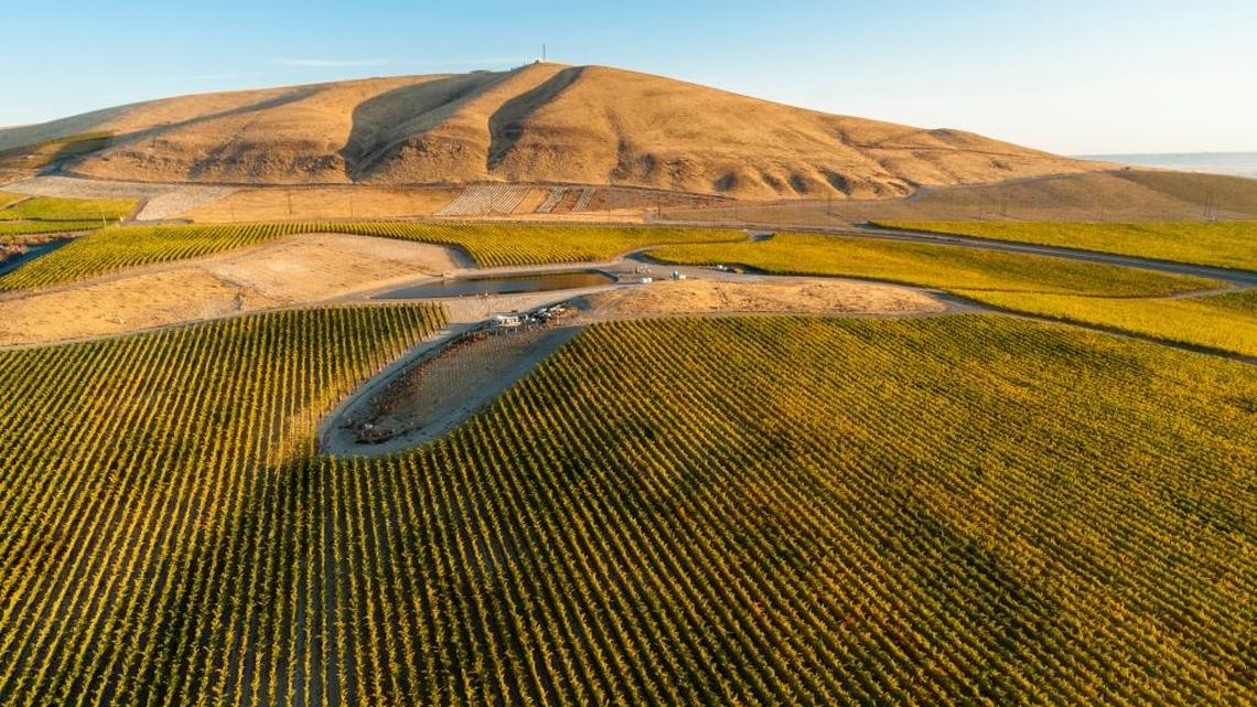 Quintessence Vineyard is a young planting on Red Mountain that quickly has earned the trust of a growing number of winemakers in the Pacific Northwest.