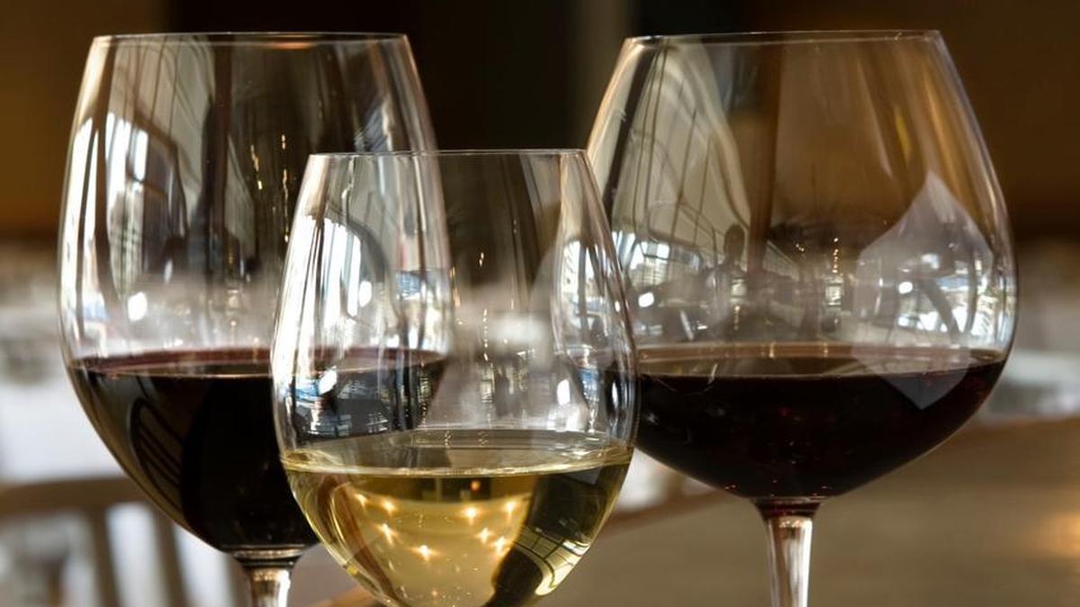In this year’s Winepress Northwest 16th annual Platinum Judging, a record 698 wines were entered, and of those, 143 earned Platinum or Double Platinum status (a Double Platinum is earned when a wine is awarded Platinum by all judges on a panel).