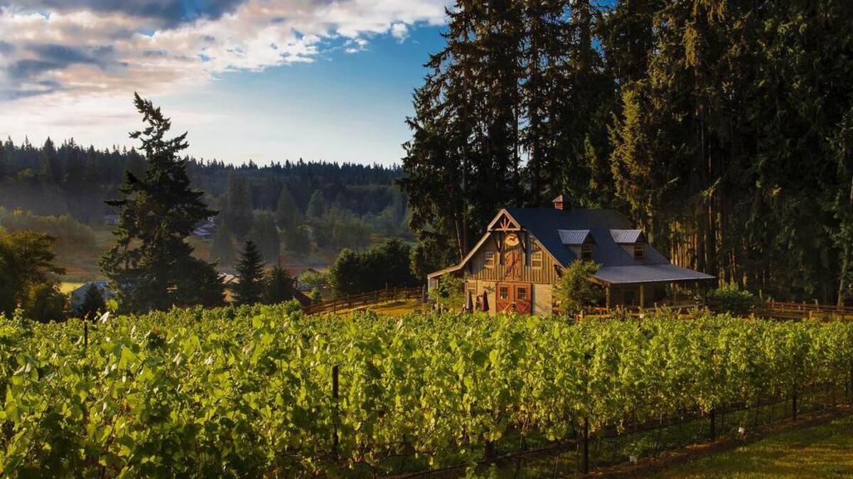 Spoiled Dog Winery in the Maxwelton Valley on Washington’s Whidbey Island takes advantage of the maritime climate to grow and create award-winning Pinot Noir.