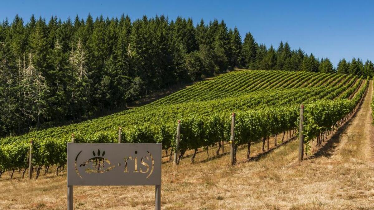 Iris Vineyards near Eugene, Ore., is named for the Douglas iris wildflower native along the Pacific Coast in northern California and southern Oregon.