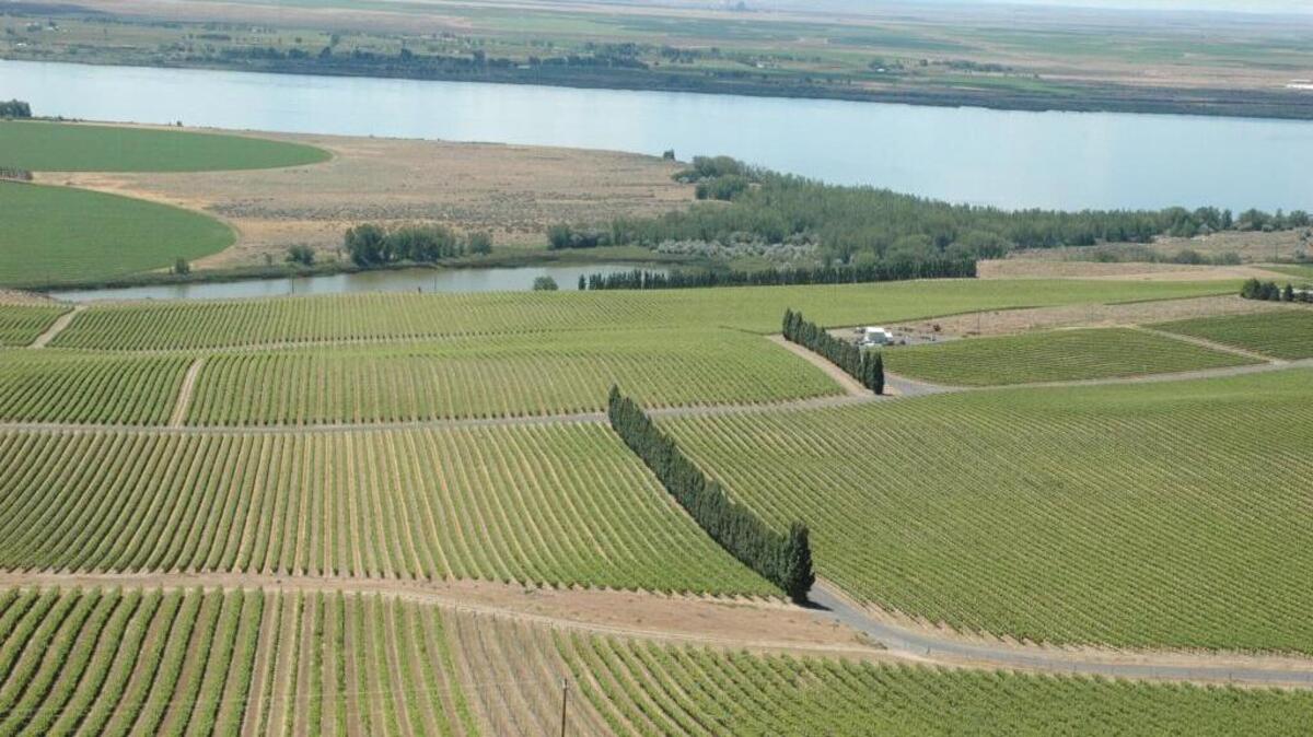 
Canoe Ridge Estate Vineyard overlooks the Columbia River in Washington’s southern Horse Heaven Hills. The estate vineyard for Chateau Ste. Michelle is the source of some of the winery’s best Chardonnay grapes.
