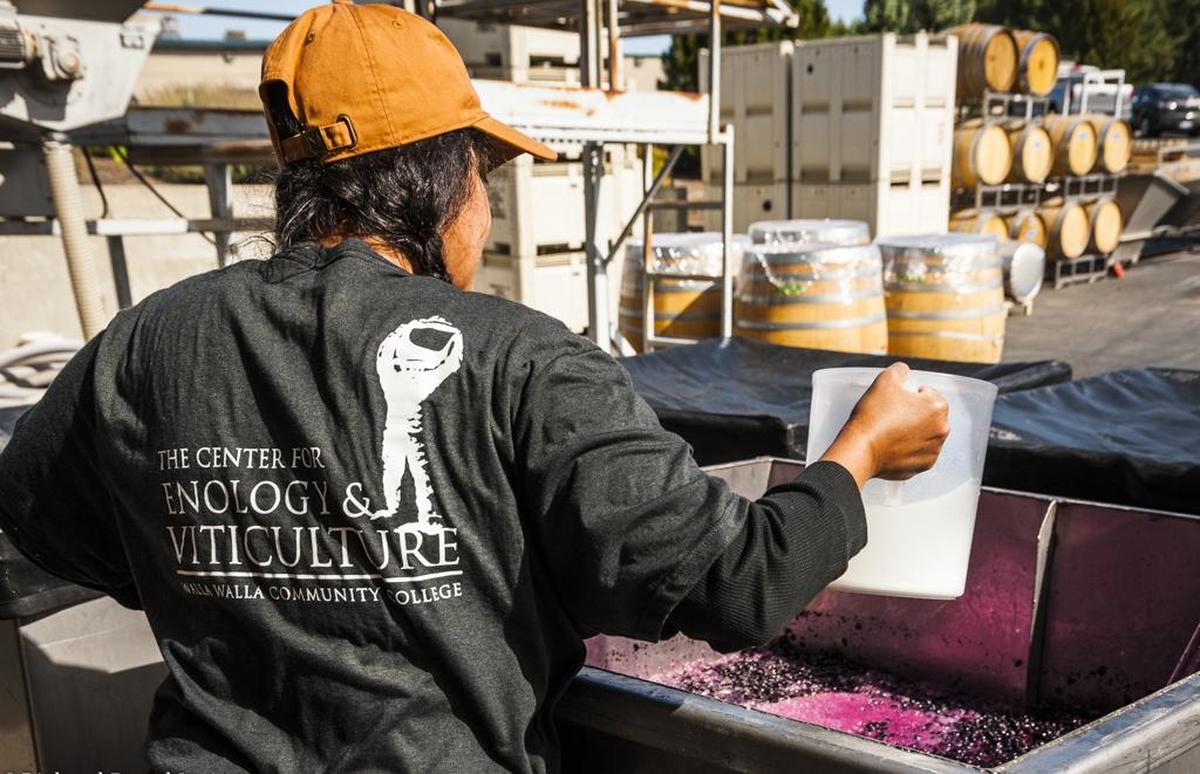 Students and graduates from Walla Walla Community College's Institute of Enology and Viticulture produce some of the top wines in the country, according to the 2019 San Francisco Chronicle Wine Competition, which is the largest wine judging in the nation.