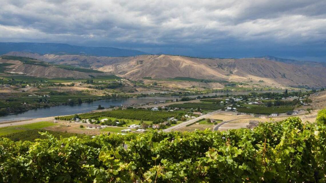 Northwest Wine: Regional winemakers continue to embrace Italian red varieties