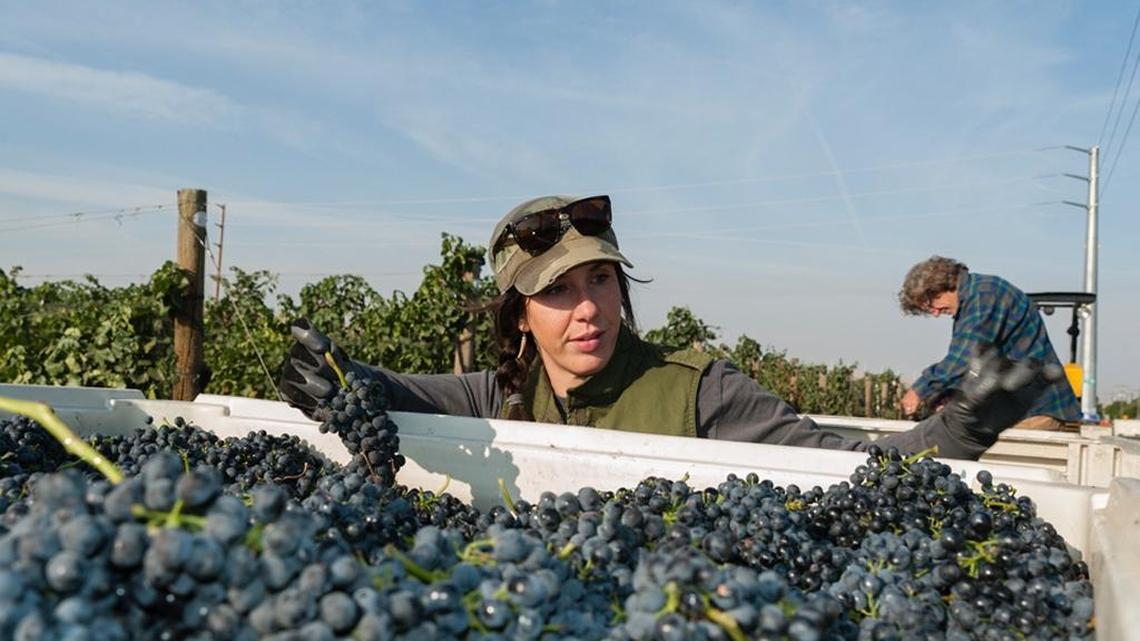 Northwest Wine: Walla Walla rises above in Washington