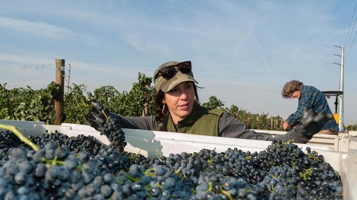Brooke Delmas Robertson, a viticulturist at Seven Hills Vineyard, also manages her family’s SJR Vineyard in the Walla Walla Valley.