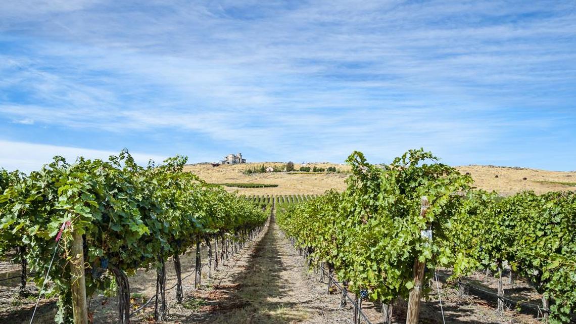 Northwest Wine: Horse Heaven Hills home to stellar wines