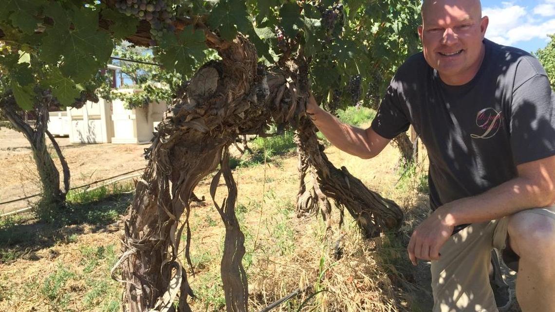 Northwest Wine: Cabernet Franc plays small, yet key role in Northwest