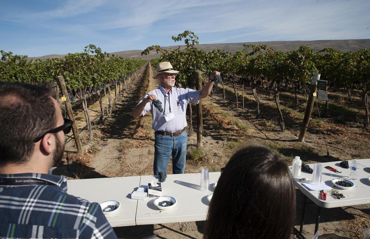 Butch Milbrandt of Milbrandt Vineyards in Prosser, Wash., stages a workshop for wine lovers.