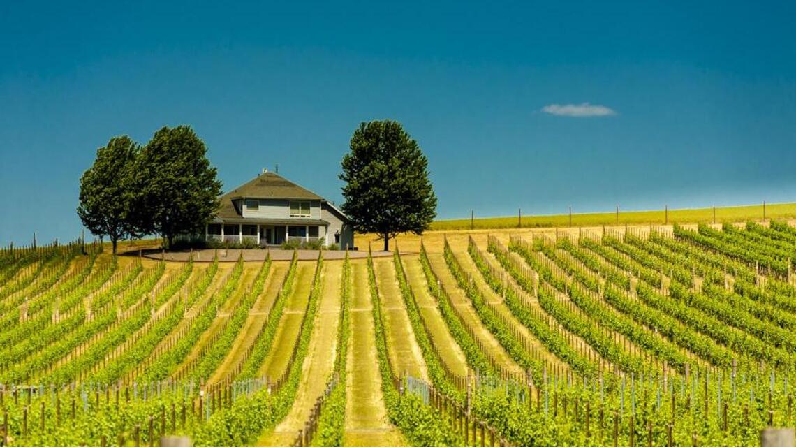 Northwest Wine: Syrah firmly established throughout Northwest