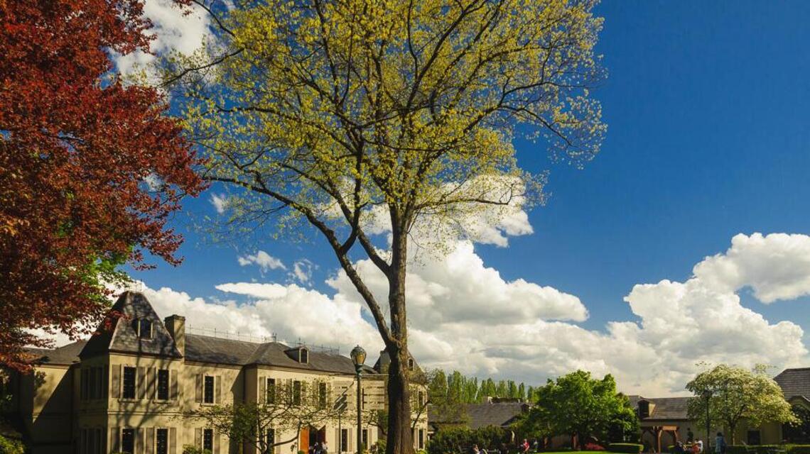 Northwest Wine: How Woodinville became Washington wine country