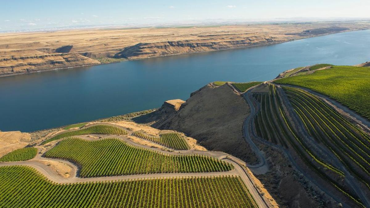 JM Cellars’ John Bigelow pulls his Provence-inspired rosé of Cinsaut from The Benches, a site overlooking the Columbia River that Long Shadows Vintners helped make famous as Wallula Gap Vineyard. 
