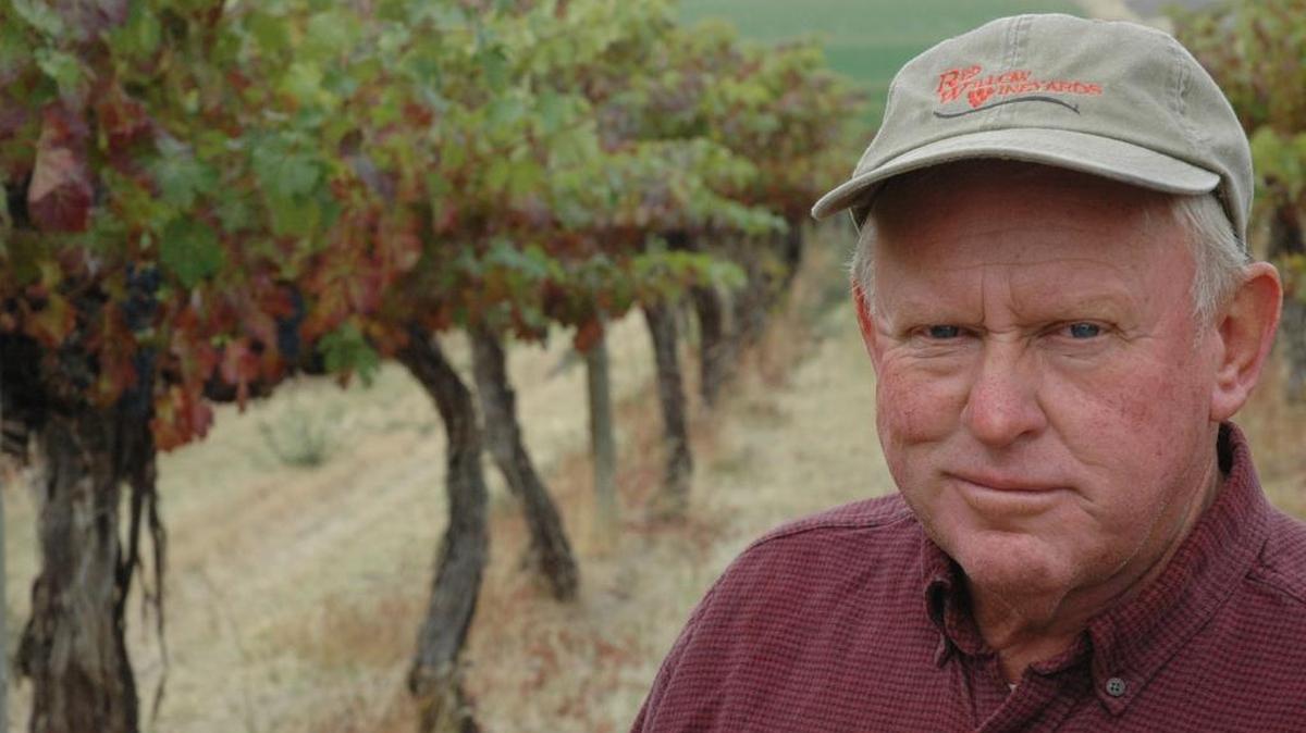 Mike Sauer is the owner of Red Willow Vineyard in the Yakima Valley. He planted Washington’s first Syrah in 1986.