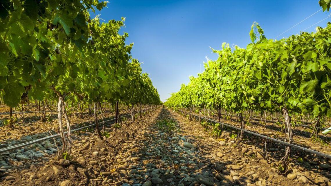 Best places to stay in wine country? This Eastern WA hotel made the top 10