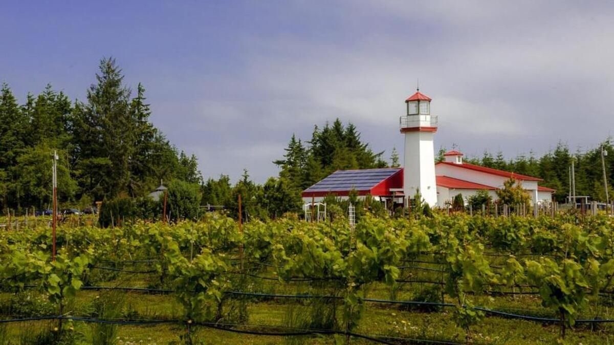 Westport Winery near Aberdeen, Wash, quickly established a following through its delicious work with fruit wines. Today, the destination winery still makes fruit wines in addition to award-winning grape wines from some of the state’s best vineyards.