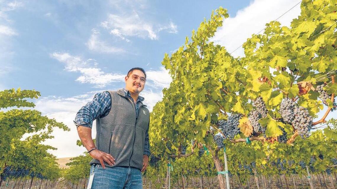 Northwest Wine: Riesling is the perfect Northwest wine