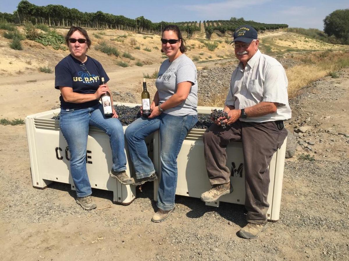 Kerry Shiels, center, uses fruit from the family’s DuBrul Vineyard to make the Côte Bonneville wines for her parents, Kathy and Hugh, in Sunnyside, Wash.