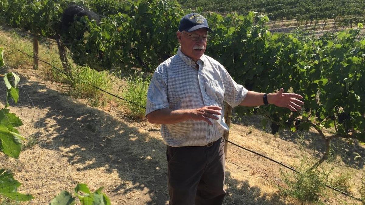 Dr. Hugh Shiels and his family own DuBrul Vineyard in the Yakima Valley. While many of their grapes go toward their acclaimed Côte Bonneville brand, they also sell fruit to renowned wineries such as Owen Roe.