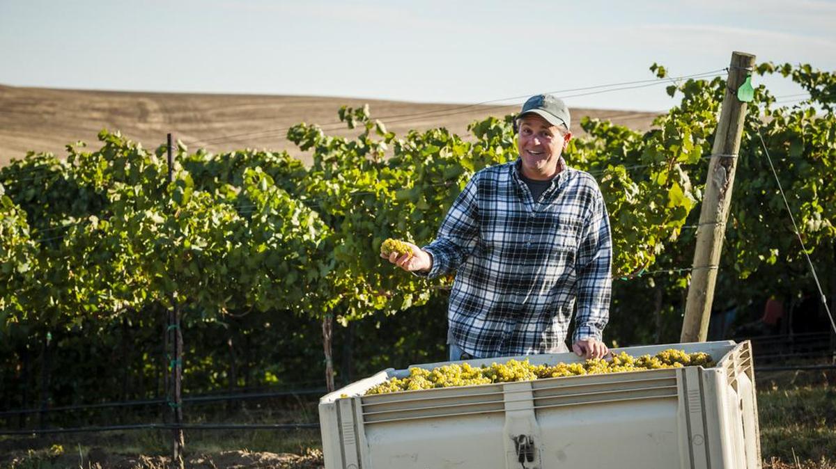 John Freeman has entered his second decade as winemaker at Waterbrook Winery in the Walla Walla Valley.