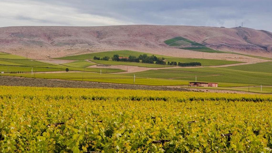 Great Northwest Wine: Red Mountain continues to rise in prominence