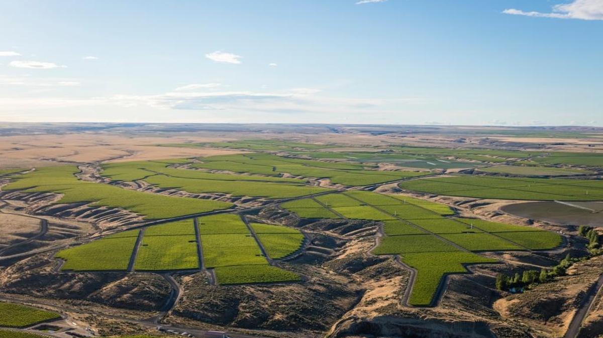 Double Canyon pulls from its 90-acre vineyard in Washington’s Horse Heaven Hills, and in September, the company will open a new winery in West Richland, Wash.