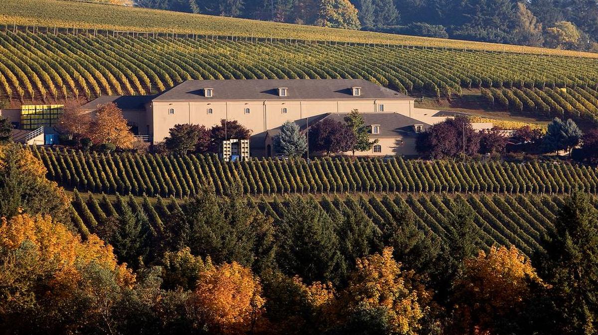 Archery Summit Winery is in Oregon’s Dundee Hills.