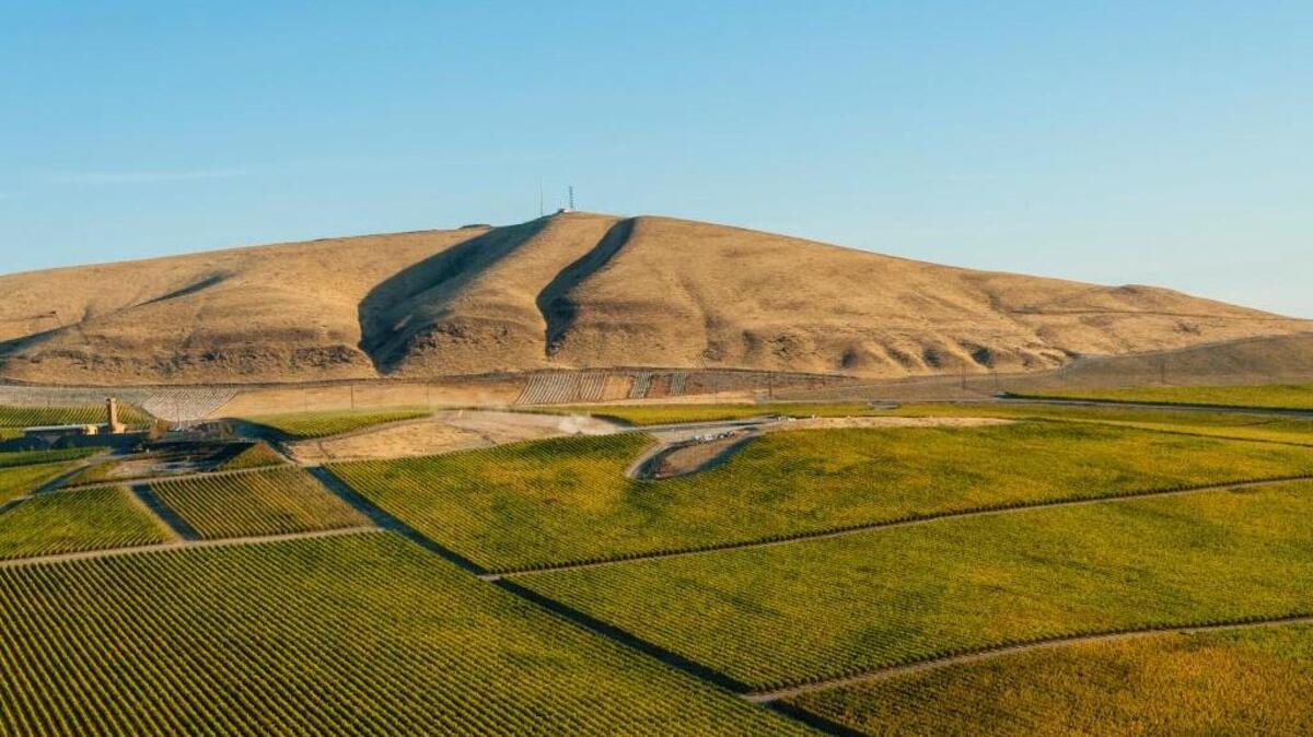 Quintessence Vineyards spans more than 300 acres on the eastern slopes of Red Mountain, and one of its neighbors to the west is the famed bell tower of Col Solare.