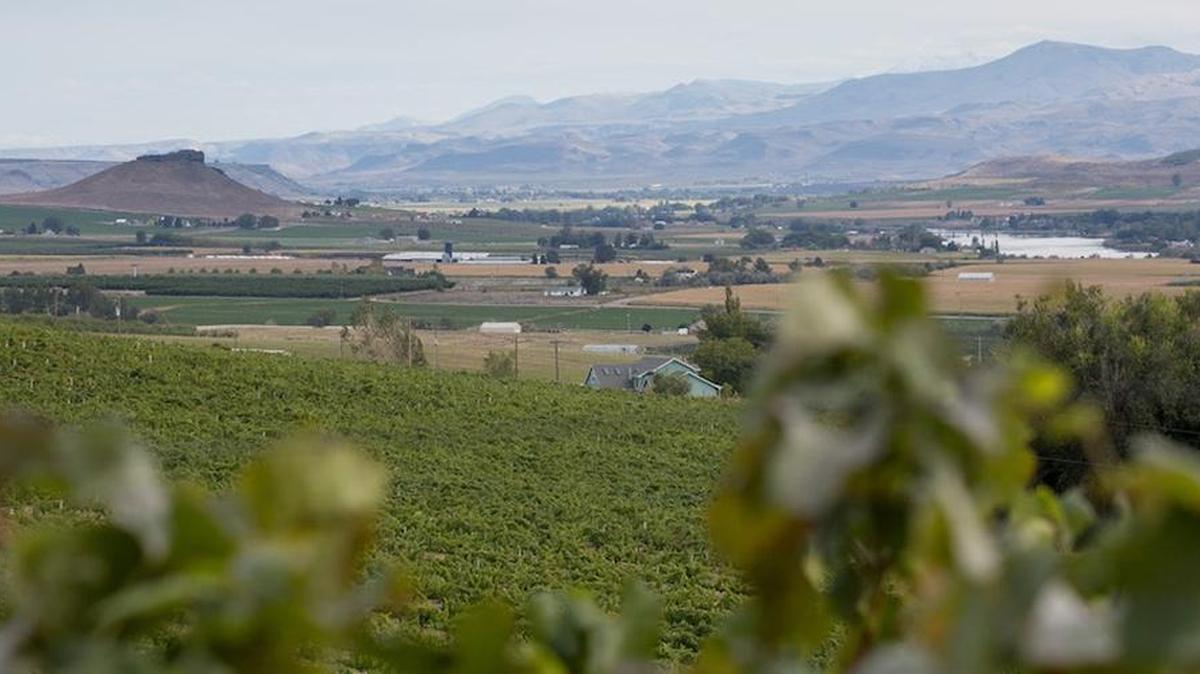 Lizard Butte is a prominent landmark of the Sunnyslope Wine District that overlooks the Snake River in Idaho’s Snake River Valley.