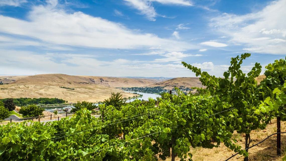 Northwest Wine: Explore Washington’s newest shared wine region