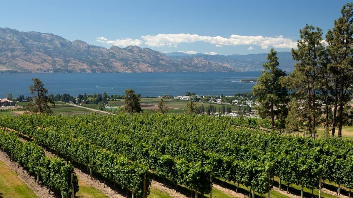 Okanagan Lake dominates the landscape of British Columbia’s Okanagan Valley.